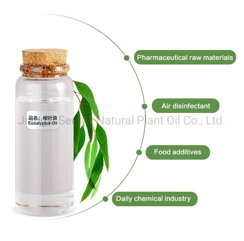 Direct Factory Wholesale 80% Eucalyptus Oil Globulous CAS 8000-48-4