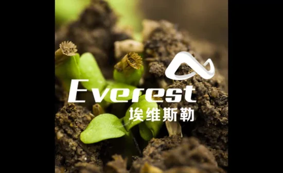 Aminoácido Vegetal Everest 80% em Pó